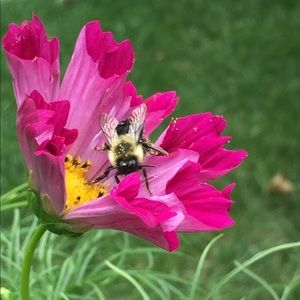 Meet your Posher, Erika